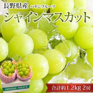 ぶどう シャインマスカット 長野県産 約1.2kg 2房 プレミアムフルーツセレクション 爆買