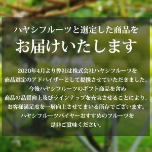 ぶどう シャインマスカット 長野県産 約1.2...の詳細画像1