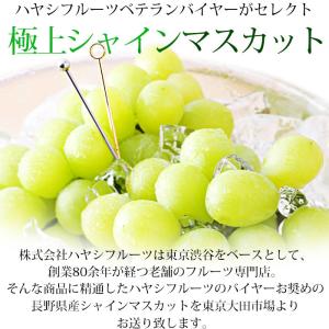 ぶどう シャインマスカット 長野県産 約1.2...の詳細画像4