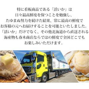 貝類 北海道産 天然活ホタテ 約3kg 約12...の詳細画像3