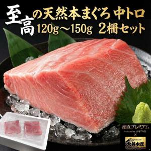 マグロ 天然本マグロ 中トロ 2柵セット（約120g〜150g/1柵）