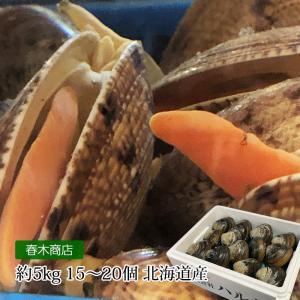 貝類 北海道産 天然活ホッキ貝 約5kg 15〜20個