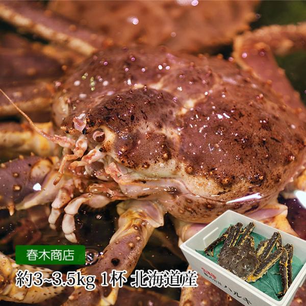 かに 北海道産 天然活タラバガニ 約3kg〜3.5kg 1杯 爆買