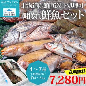 北海道函館直送！ 鮮魚セット 合計4〜5kg 4〜7種 北海道函館産 下処理可