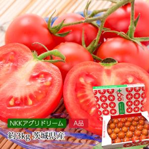高知県夜須産 高糖度 夜須のフルーツトマト ”とさかみトマト” 秀品 約