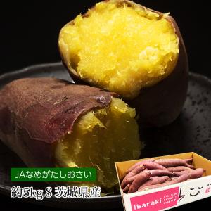 さつまいも 茨城県産 紅優甘 紅はるか 約5kg Sサイズ 30本前後