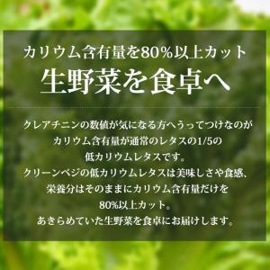 レタス クリーンベジの低カリウムレタス 3袋 爆買の詳細画像1