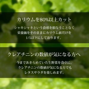 レタス クリーンベジの低カリウムレタス 3袋 爆買の詳細画像4