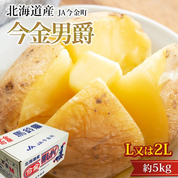 じゃがいも 今金男爵 北海道産 約5kg Lサイズ 2Lサイズ