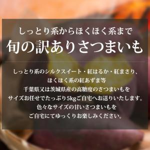 2箱以上ご購入で1,000円OFF さつまいも...の詳細画像1