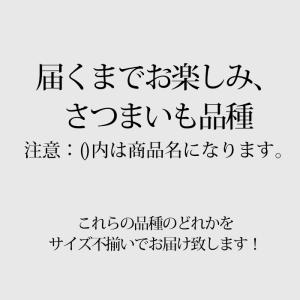 2箱以上ご購入で1,000円OFF さつまいも...の詳細画像2