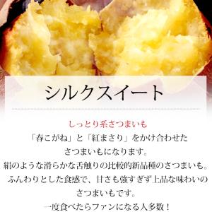2箱以上ご購入で1,000円OFF さつまいも...の詳細画像5