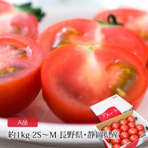 トマト アメーラ 長野県産 静岡県産 高糖度フルーツトマト A品 約1kg 2S〜Mサイズ 12〜20個 爆買