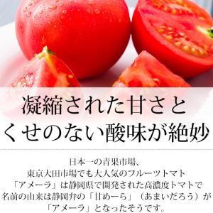 トマト アメーラ 長野県産 静岡県産 高糖度フ...の詳細画像2