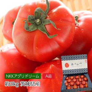 茨城県より産地直送 JAなめがた さつまいも「紅まさり(べにまさり)」 S