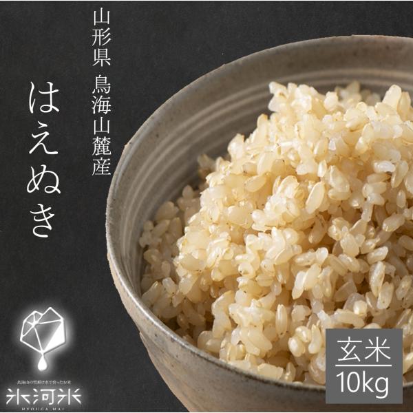 米 はえぬき 玄米 10kg 送料無料 高級 特別栽培米 山形県産 令和5年産 美味しいお米 氷河米...