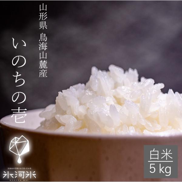 米 いのちの壱 白米 5kg 送料無料 高級 希少 特別栽培米 山形県産 令和5年産 美味しいお米 ...