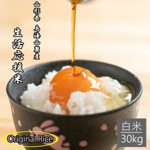 米 生活応援米 わしづかみ 無洗米 30kg 送料無料 安い コスパ抜群 山形県産 令和5年産 美味しいお米 ブレンド米 山形 庄内 農家直送