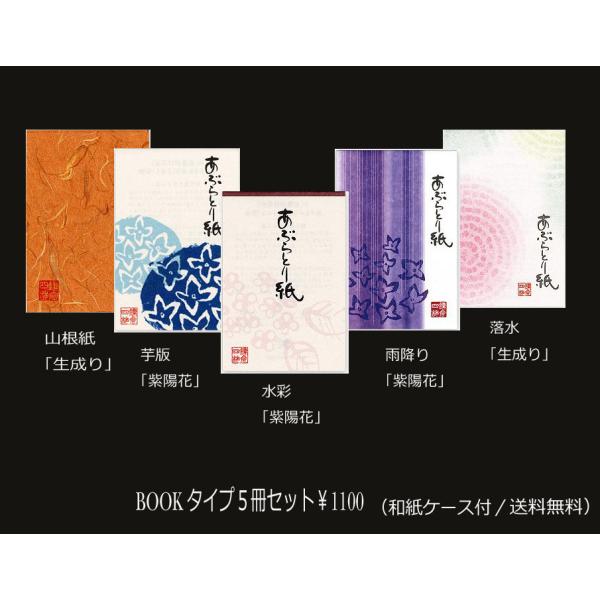 BOOKタイプのお試し短冊セット(ケース付）　５冊