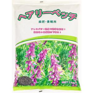ヘアリーベッチ　１kg　緑肥・景観・ハチミツ取りに　緑肥の種｜yohonsha-japan