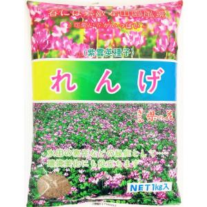 レンゲ種子 20kg 送料無料 緑肥の種の詳細画像1
