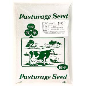 ホワイトクローバー種子　フィア　1kg