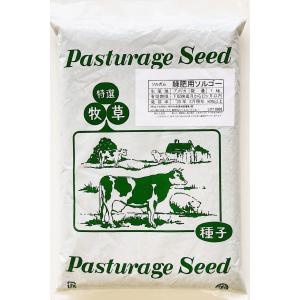 ソルガム種子　品種名：緑肥用ソルゴー　1kg　緑肥の種