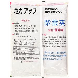 レンゲ種子 20kg原袋(1kg×20袋)送料...の詳細画像2