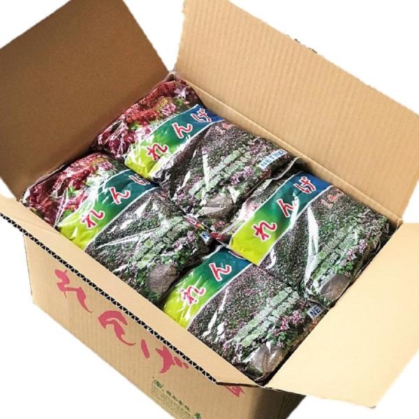 レンゲ種子　36kg(1kg×36袋）送料無料　緑肥の種