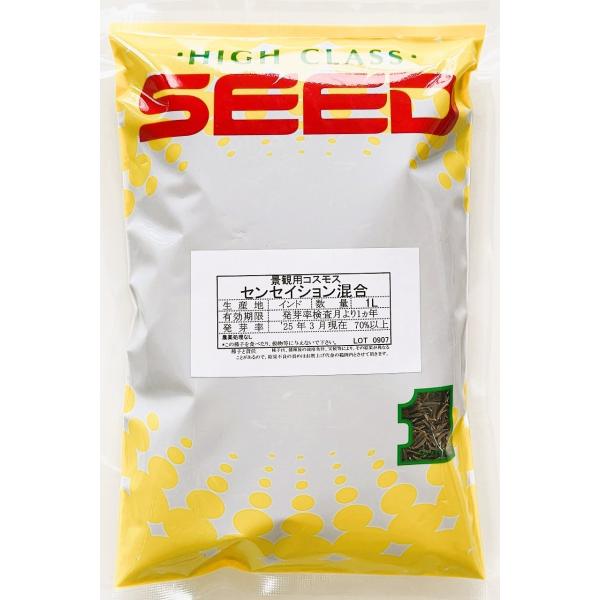 コスモス種子(景観用センセーション混合)1Ｌ・約500ｇ　花の種