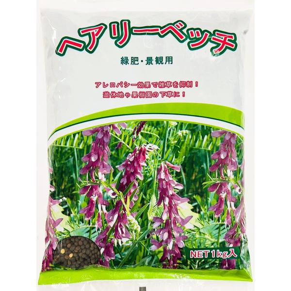 ヘアリーベッチ種子　品種名：ナモイ　10kg（1kg×10袋）