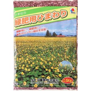 ひまわり種子　緑肥用ひまわり　500ｇ　タキイ種苗　花・緑肥の種