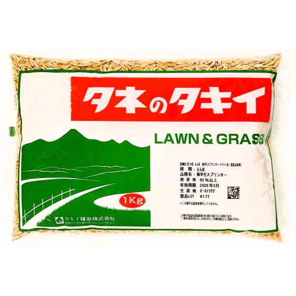 えん麦種子 品種：極早生スプリンター（ペット用・農薬未処理）1kg　牧草の種
