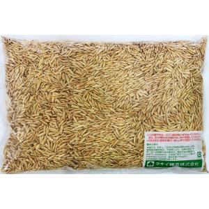 えん麦種子 品種:極早生スプリンター(ペット用...の詳細画像1