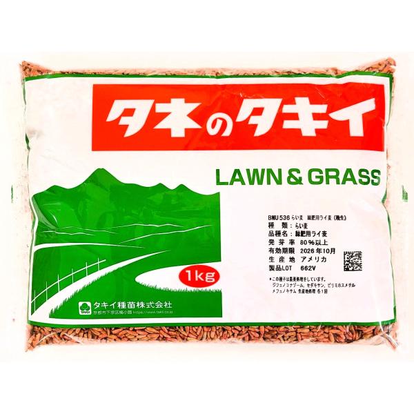 らい麦 緑肥用ライ麦 1kg（タキイ種苗）