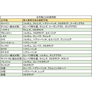 らい麦 緑肥用ライ麦 1kg(タキイ種苗)の詳細画像2