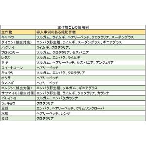 ソルガム種子 品種名:やわらか矮性ソルゴー 1...の詳細画像2