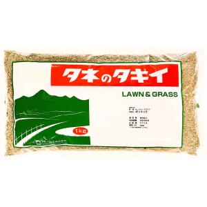 3000枚入) シンワ 高品質 フラワースリーブ 多孔 花袋 8号 #25 250/100