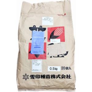 ヒマワリ種子　サンマリノ　NSデュカット　10kg原袋（500g×20袋）雪印種苗　ひまわりの種