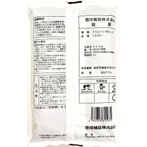 クリムソンクローバー種子 品種名:くれない 5...の詳細画像1