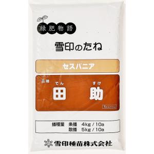 セスバニア 品種名：田助 1kg 雪印種苗