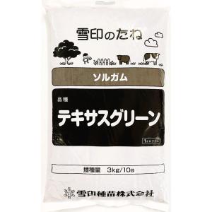 ソルガム種子 品種名：テキサスグリーン 20kg原袋（1kg×20袋） 雪印種苗　緑肥用