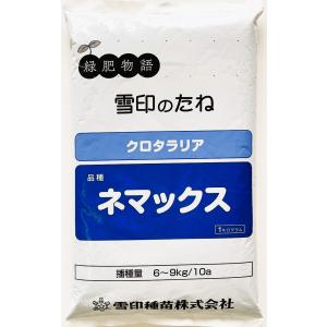 クロタラリア種子 品種名:ネマックス 1kg 雪印種苗の商品画像