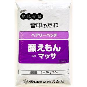 ヘアリーベッチ種子 藤えもん 品種名:マッサ 1...の商品画像