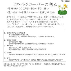 ホワイトクローバー種子 1kg(シロクローバー...の詳細画像3