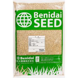 トールフェスク種子　1kg　紅大貿易　西洋芝草の種