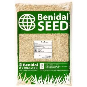 ノシバ種子 品種名：コンパドレ 500g スカイシード株式会社 野芝 種