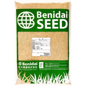 ノシバ種子 品種名：コンパドレ 500g スカイシード株式会社 野芝 種