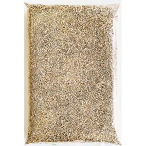 イタリアンライグラス種子 品種指定なし 1kg...の詳細画像1