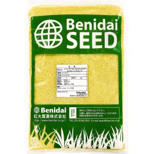 バミューダグラス　品種：トランスコンチネンタル（コーティング種子）1kg　紅大貿易　芝の種
